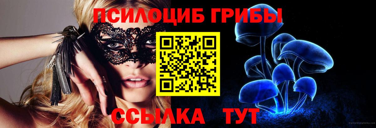 цены наркотик  Псилоцибиновые грибы Magic Shrooms  Вход с VPN  Псилоцибиновые грибы Magic Shrooms  Электросталь 